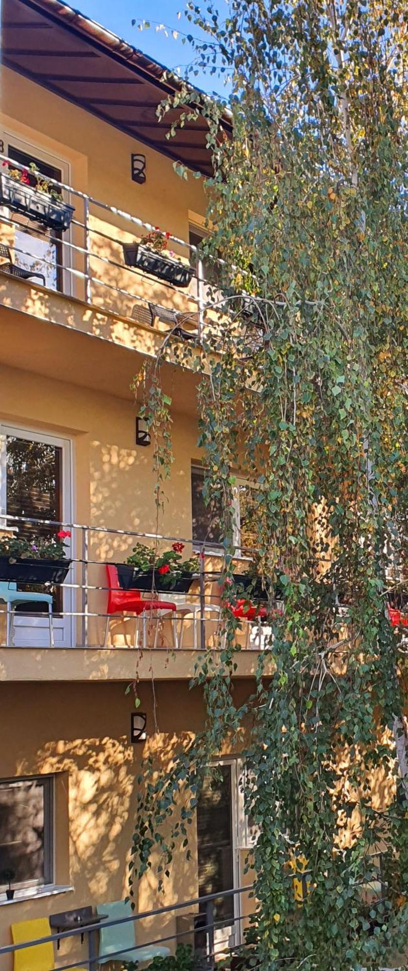 Vila Sia Bucarest Extérieur photo