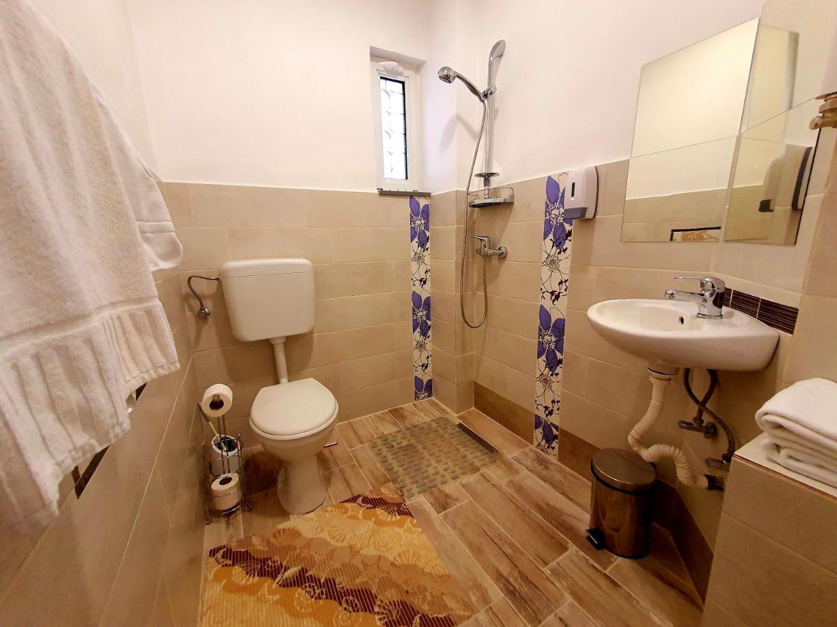 Vila Sia Bucarest Extérieur photo